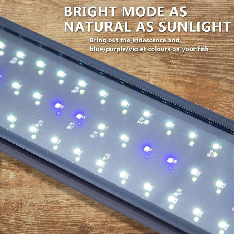11W Aquarium Blue White LED Light for Tank 50-70cm - Magdasmall