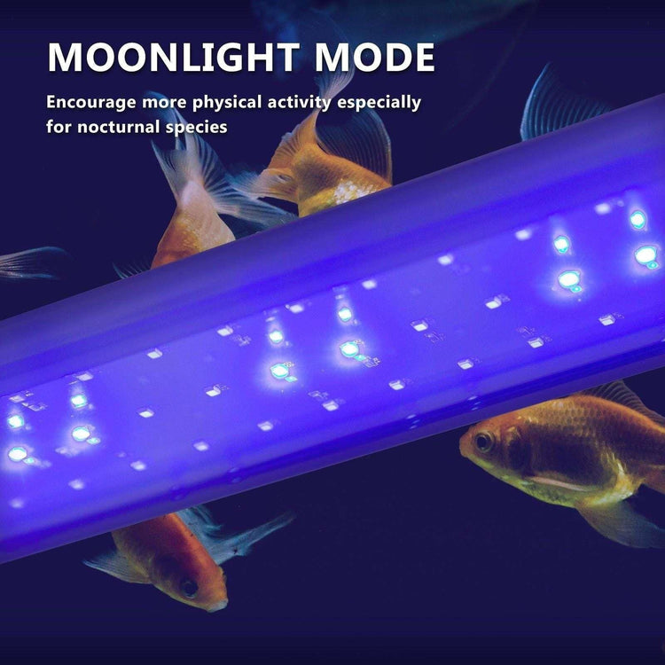 11W Aquarium Blue White LED Light for Tank 50-70cm - Magdasmall