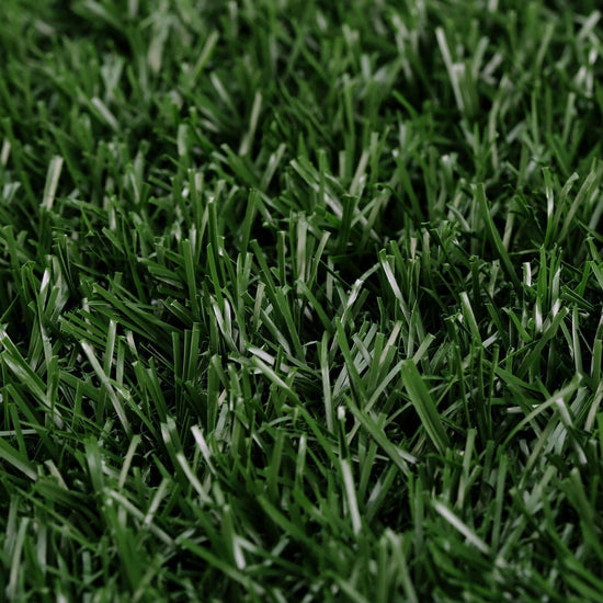 1 Grass Mat 63.5cm x 38cm for Pet Dog Potty Tray Training Toilet - Magdasmall