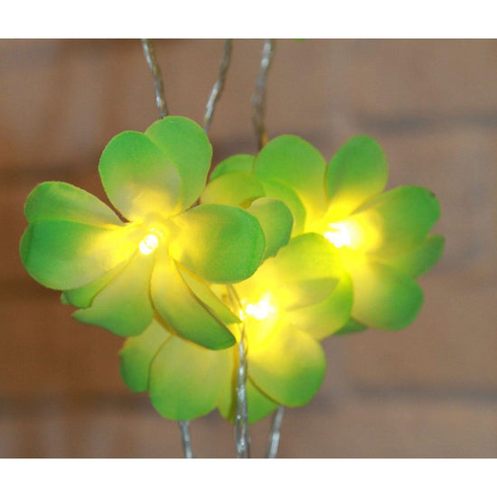 1 Set of 20 LED Green Frangipani Flower Battery String Lights Christmas Gift Home Wedding Party Decoration Outdoor Table Garland Wreath - Magdasmall