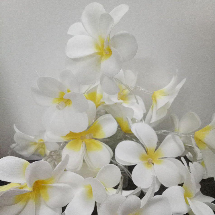 1 Set of 20 LED White Frangipani Flower Battery String Lights Christmas Gift Home Wedding Beach Party Decoration Outdoor Table Centrepiece - Magdasmall