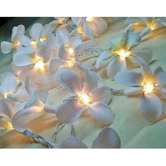 1 Set of 20 LED White Frangipani Flower Battery String Lights Christmas Gift Home Wedding Beach Party Decoration Outdoor Table Centrepiece - Magdasmall