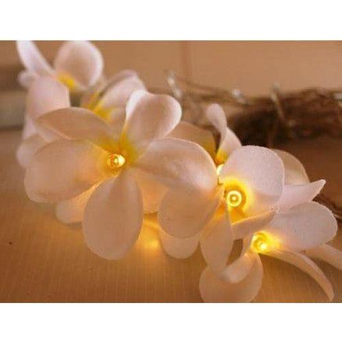 1 Set of 20 LED White Frangipani Flower Battery String Lights Christmas Gift Home Wedding Beach Party Decoration Outdoor Table Centrepiece - Magdasmall