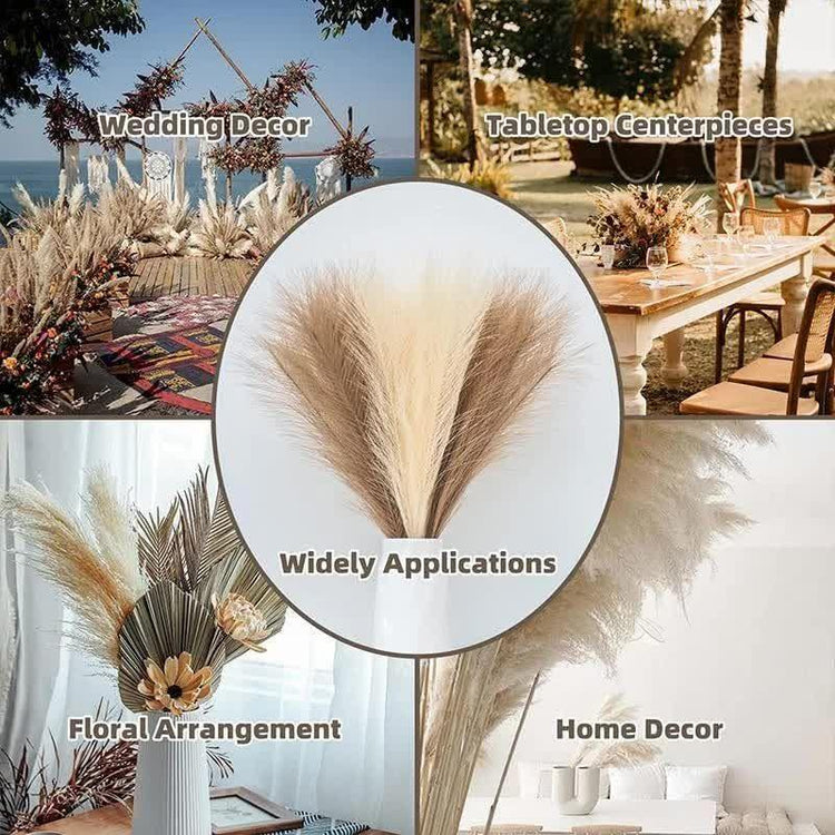 20 sticks Natural Dark Gray Pampas Grass Bouquet-21.65" Fluffy Dried Pampas for Home Decor and Events - Magdasmall