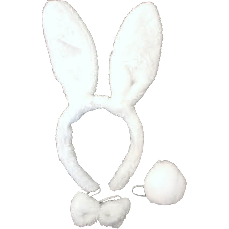 2pc Set Animal Headband w Bow Tail Rabbit + Zebra Ears Costume Halloween Party - Magdasmall