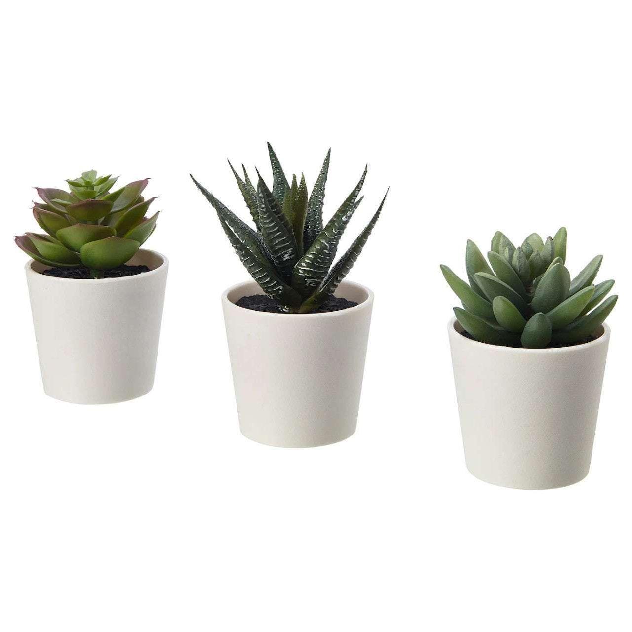 3 Pack of Artificial Succulent Potted Plants in White Plastic 6cm Pot Interior Decoration - Magdasmall