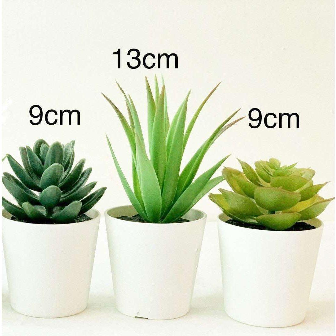 3 Pack of Artificial Succulent Potted Plants in White Plastic 6cm Pot Interior Decoration - Magdasmall