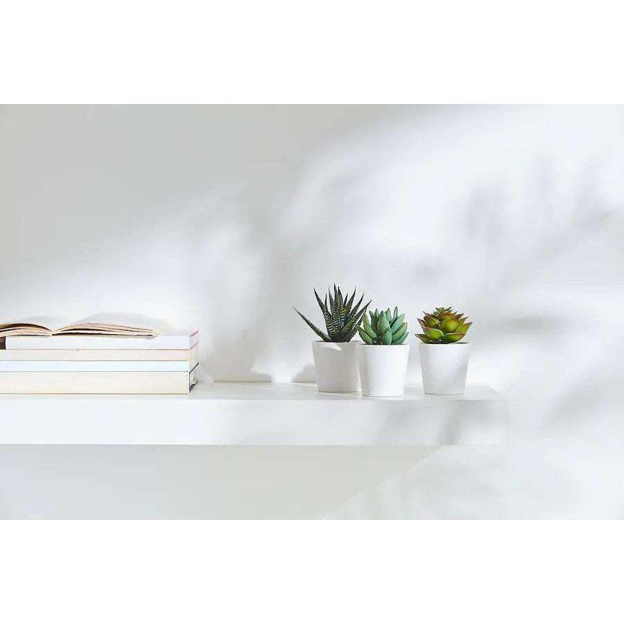 3 Pack of Artificial Succulent Potted Plants in White Plastic 6cm Pot Interior Decoration - Magdasmall
