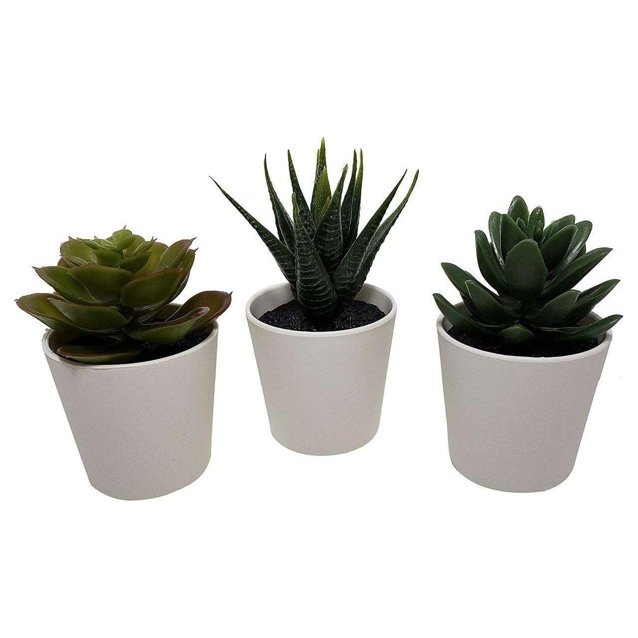 3 Pack of Artificial Succulent Potted Plants in White Plastic 6cm Pot Interior Decoration - Magdasmall