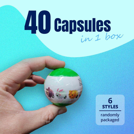 40X Cute Animal Pull Back Car Toy Capsules 50mm Collectible Gacha in Display Box - Magdasmall