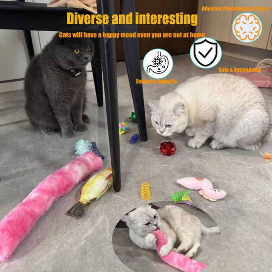 Pet Products Cat Toys,Interactive Kitten Toy for Indoor Kitty Exercise 14 Piece with Fish Catnip Spiral Spring, Tube, Crinkle Balls Helps Reduce Stress & Provide Anxiety Relief for Cats