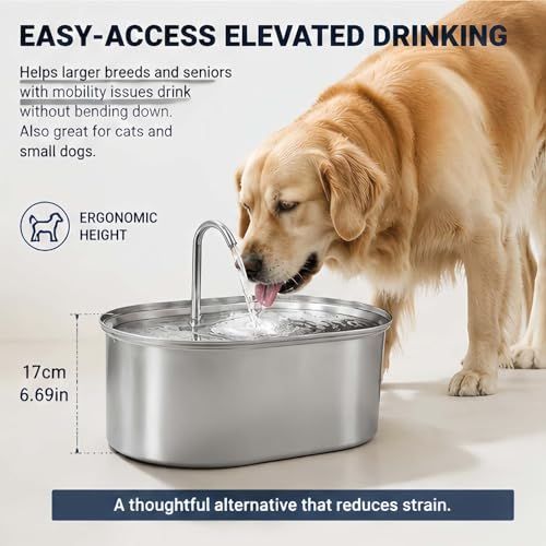 The Doggy Fountain, Quiet Floor-Standing Automatic Pet Water Fountain for Dogs & Cats, Cordless Dog Water Bowl Dispenser with Oval Faucet Round Window, Indoor Watering for Large/Small Pets