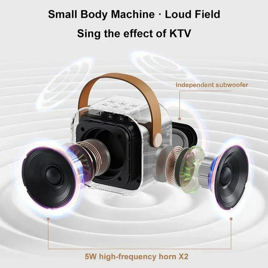 NNEOBA K12 Bluetooth Karaoke Machine