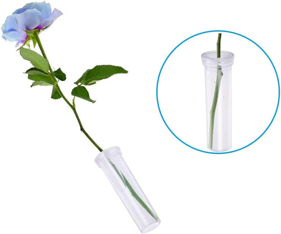 21 Pack 60ml Large Floral Tubes with Rack Holder for Milkweed Cuttings, Raising Caterpillars, Monarchs, Butterflies, Flower Arrangements