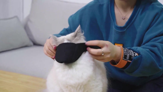 6 Pieces - Breathable Cat Muzzle Size L - Cat Muzzles - Muzzles for Cats and Kittens - Neck Circumference: 18-26 Cm - For Travel, Vet Visits and Bathrooms - Nylon - Eye Mask for Pet Grooming - Cat Muzzle - Breathable - Comfortable
