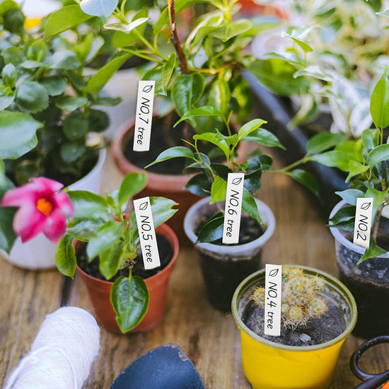 200 Pieces - Plant Labels - 2x10 CM - Plant Labels - Vegetable Labels - Vegetable Labels - White - Plant Stake Tags - Nursery Stake Tags for Potted Plants - Plastic