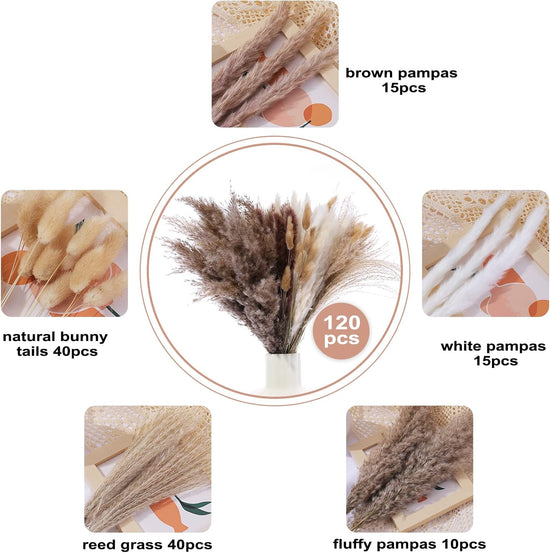 120 Pcs Dried Pampas Grass 17 Inch White Pompas Bouquet Fluffy Dry Pompous Bunny Tails Flower Small Pampass for Room Boho Home Farmhouse Decorations Wedding Pompass Flowers Arrangement Decor