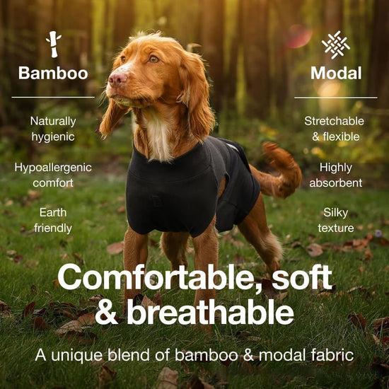 Pet physiological pants-M