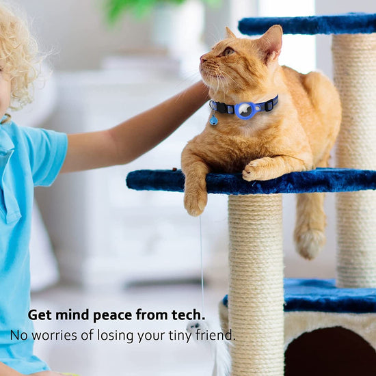 Pet positioning neck collar-Blue