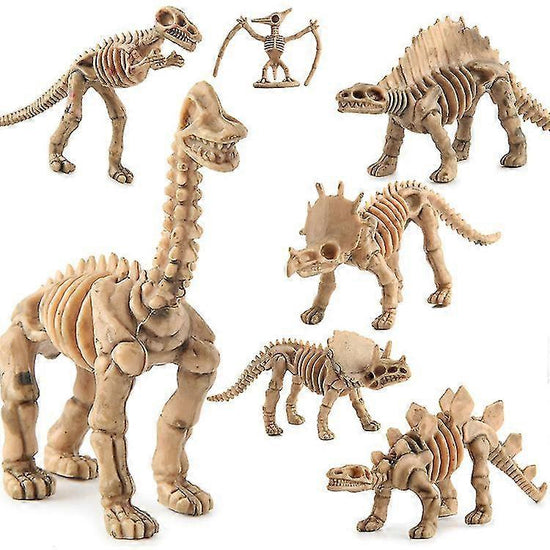 Dinosaur Fossil Skeleton Dinosaur Model Dinosaur Skeleton Toys