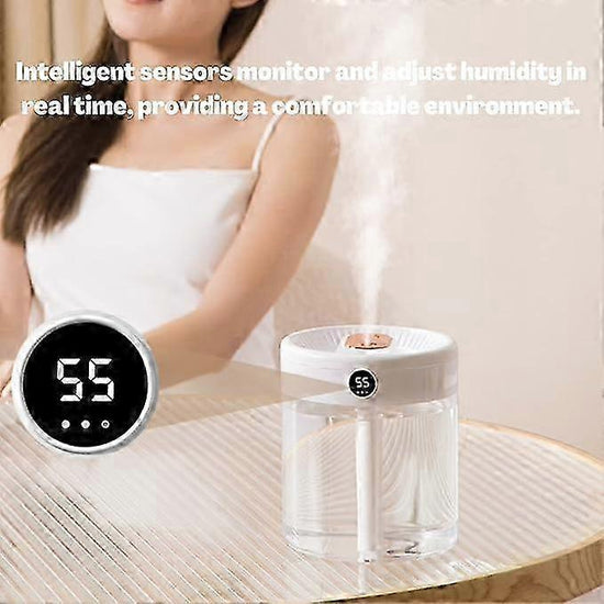 2L Cool Mist Air Humidifier with Night Light, Ultra Quiet Home Bedroom Humidifier