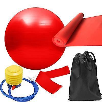 5pcs Purple Yoga Training Set with Fitness Ball & Bands