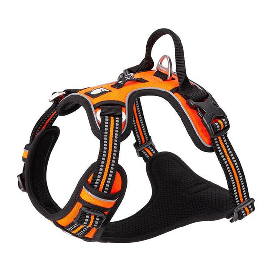 No Pull Harness Orange XL