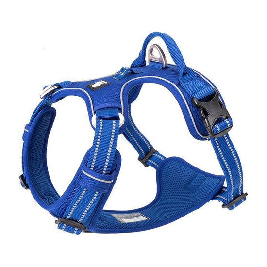 No Pull Harness Royal Blue XS