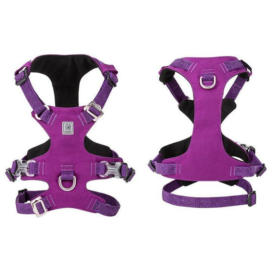 Whinhyepet Harness Purple L