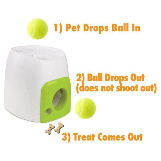 Fetch N Treat Dog Toy - Interactive Ball Roll and Reward Pet Play - All For Paws