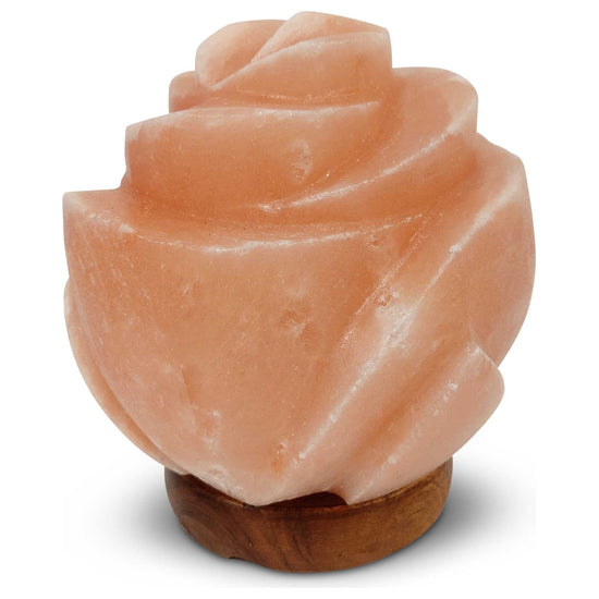 12V 12W Rose Himalayan Pink Salt Lamp Carved Flower Rock Crystal Light Bulb On/Off