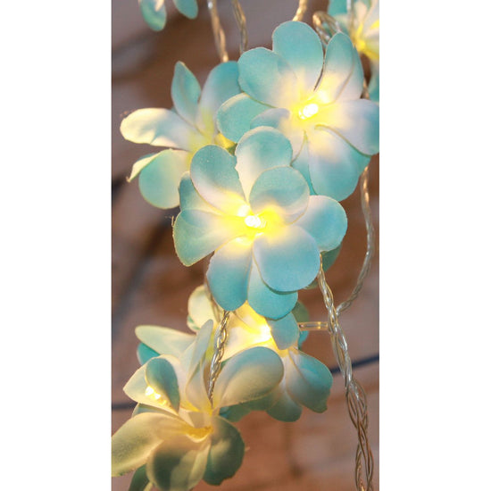 1 Set of 50 LED Tropical Blue Frangipani Flower Battery 5m LONG String Lights Christmas Gift Home Wedding Beach Party Decoration Outdoor Table Centrepiece