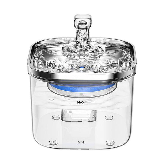 USB Powered Pet Water Fountain with Filter, Starter Kit (2L Capacity)