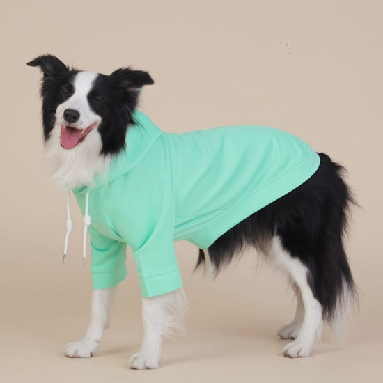 Green Classic Dog Sweatshirt with Hood & Drawstrings - For Large Dogs (Size : XL)