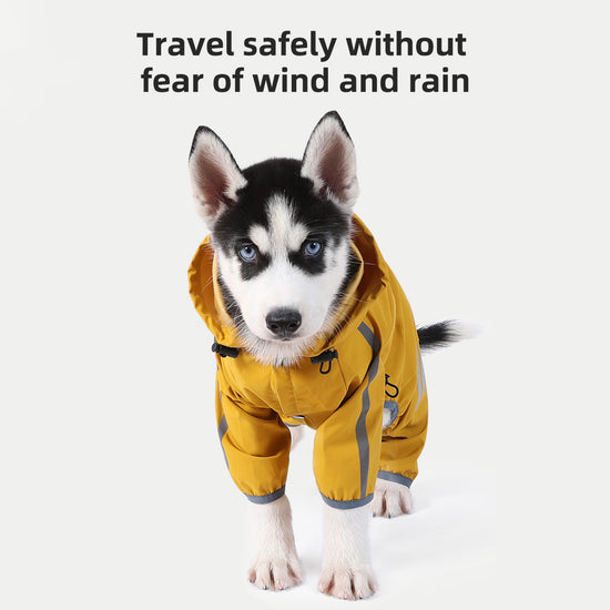 L Bright Yellow And Gray Trim Waterproof Four-Legged Dog Raincoat with Leash Hole for Small Breeds