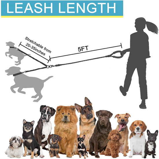 Blue 3-in-1 Tangle-Free Dog Leash for 1-3 Dogs - Heavy Duty Bungee Coupler with Reflective Stitching & Padded Handle