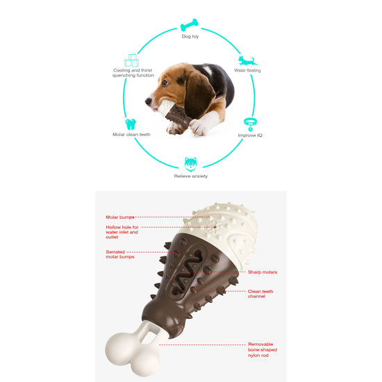 Multifunctional Dog Toy with Cooling, Dental Care & Floating Features(Chocolate color)