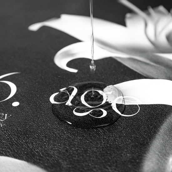 Elegant Floral Print Absorbent Floor Mat - Quick Dry, Non-Slip, Easy Clean Bathroom & Entryway Rug(Black and White)