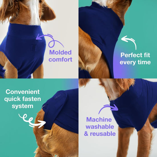 S Blue Premium Pet Physiological Suit - Comfortable & Breathable Bamboo Modal Recovery Suit