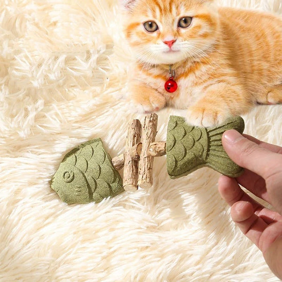 Brown 5 Pack Cat Catnip Toys Fish Bone Shaped Silvervine Chew Sticks for Teeth Cleaning and Interactive Play