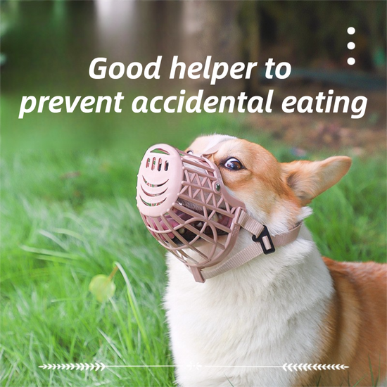 Anti-Biting & Anti-Foraging Dog Muzzle - Breathable & Soft TPE Safety Mask with Secure Straps (