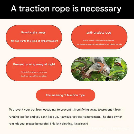 2-Pack Black Small Mammal Harness Set – 6 Pcs (S/M/L ×2) + 2×1.5m Leashes for Secure Outdoor Handling