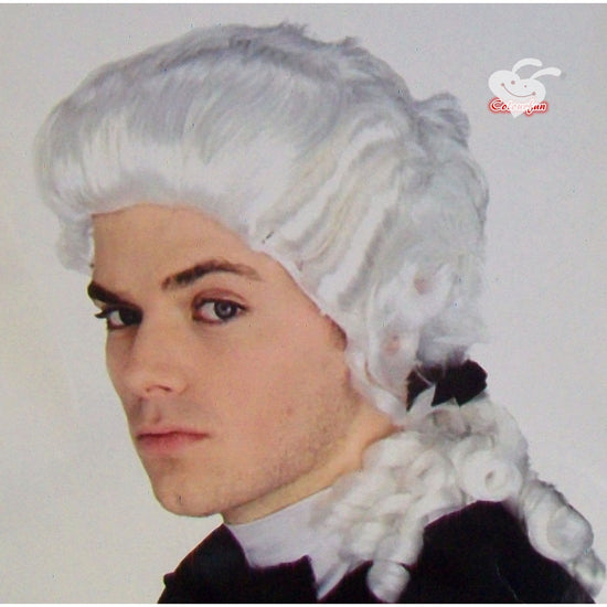 White Judge Wig Colonial Wig Lawyer Dress Costume Halloween Fancy Party wig
