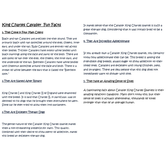 Sleepy Tails - Mother and Baby - King Charles Spaniel