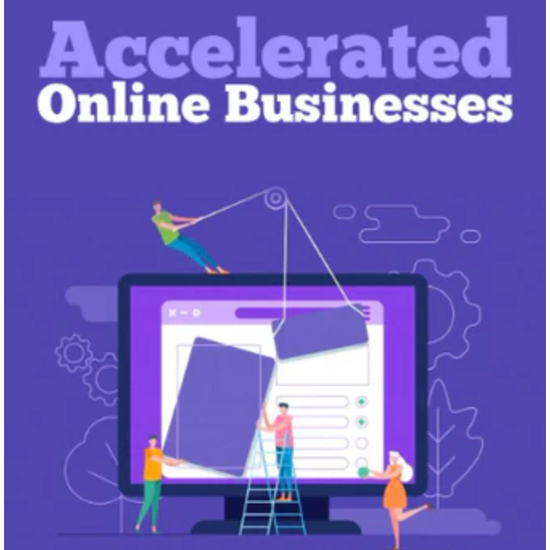 Accelerated Online Business Mastery: 25-Part Video Series and Beyond- Video Series - Instant Download