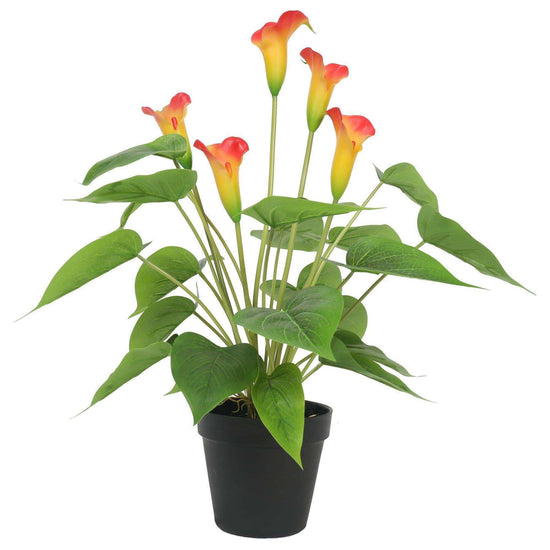 Artificial Flowering White &amp; Orange Peace Lily / Calla Lily Plant 50cm