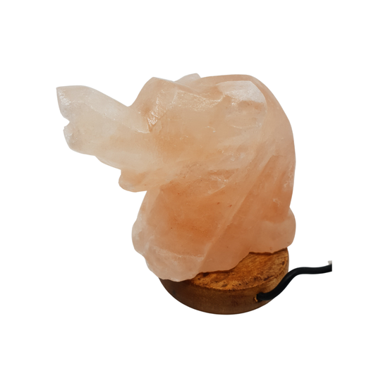 Himalayan Salt Lamp USB ELEPHANT - Magdasmall