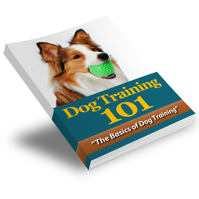 Pawsitively Perfect: Dog Training Essentials and Care Guide Bundle - 5 eBook Bundle - eBook - Instant Download - Magdasmall