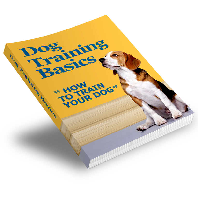 Pawsitively Perfect: Dog Training Essentials and Care Guide Bundle - 5 eBook Bundle - eBook - Instant Download - Magdasmall