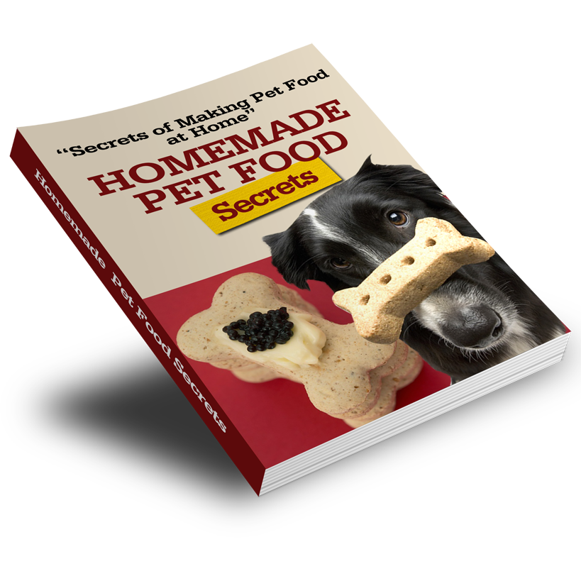 Pawsitively Perfect: Dog Training Essentials and Care Guide Bundle - 5 eBook Bundle - eBook - Instant Download - Magdasmall